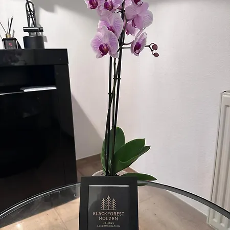 Pendler Montagewohnung Kandern, Loerrach, Basel D,ch, Fr * Holzen