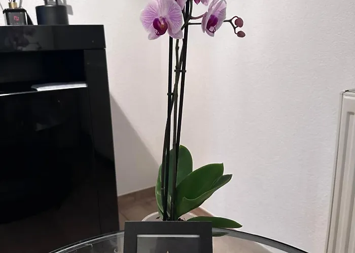 Pendler Montagewohnung Kandern, Loerrach, Basel D,ch, Fr * Holzen